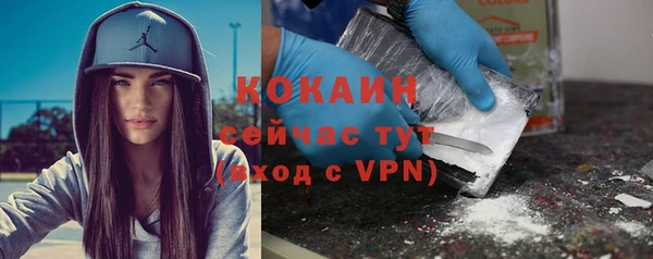 стафф Алзамай